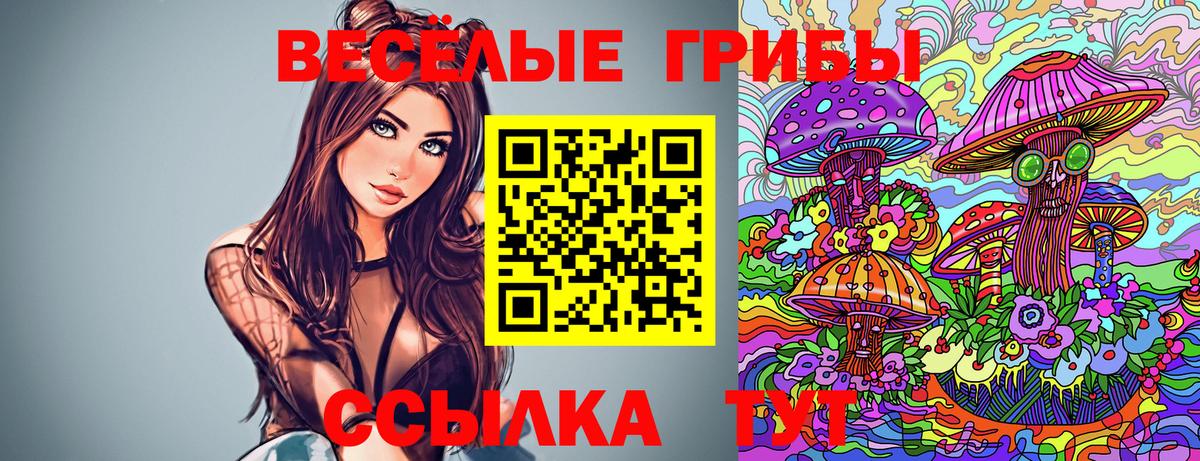 Галлюциногенные грибы Cubensis Артём